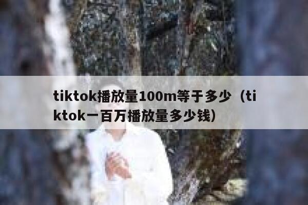 tiktok播放量100m等于多少（tiktok一百万播放量多少钱） 第1张