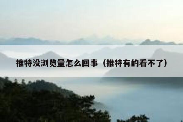 推特没浏览量怎么回事（推特有的看不了） 第1张