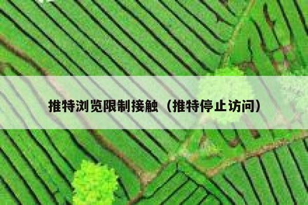 推特浏览限制接触（推特停止访问） 第1张