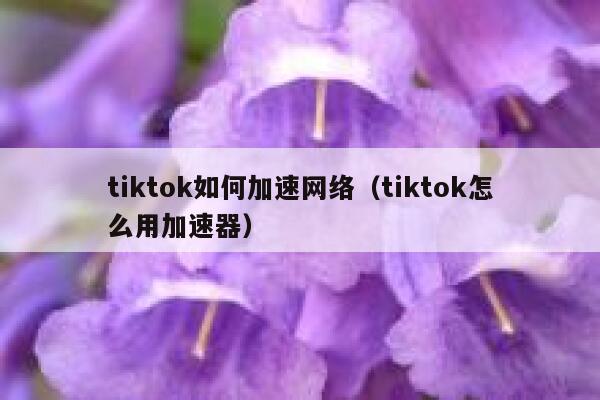 tiktok如何加速网络（tiktok怎么用加速器） 第1张