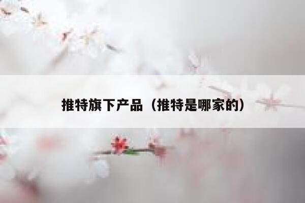 推特旗下产品（推特是哪家的） 第1张