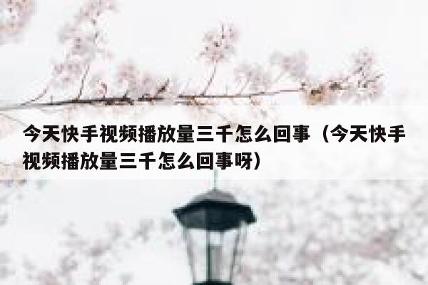 今天快手视频播放量三千怎么回事（今天快手视频播放量三千怎么回事呀） 第1张