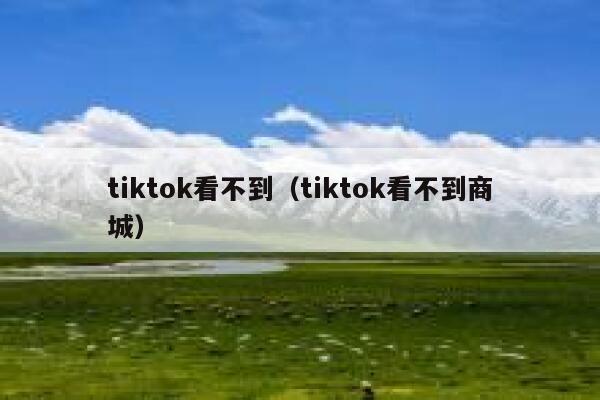 tiktok看不到（tiktok看不到商城） 第1张