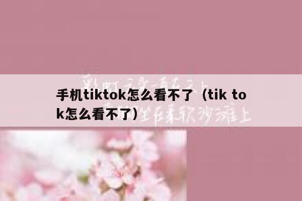 手机tiktok怎么看不了（tik tok怎么看不了） 第1张