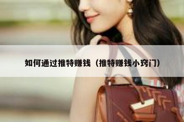 如何通过推特赚钱（推特赚钱小窍门） 第1张