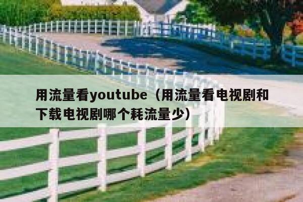 用流量看youtube（用流量看电视剧和下载电视剧哪个耗流量少） 第1张