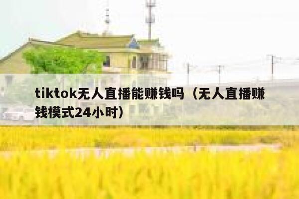 tiktok无人直播能赚钱吗（无人直播赚钱模式24小时） 第1张