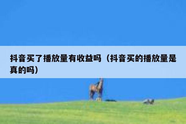抖音买了播放量有收益吗（抖音买的播放量是真的吗） 第1张