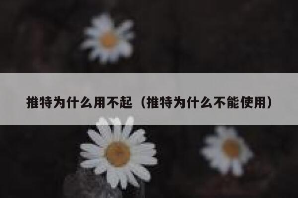 推特为什么用不起（推特为什么不能使用） 第1张