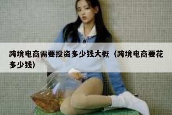 跨境电商需要投资多少钱大概（跨境电商要花多少钱） 第1张