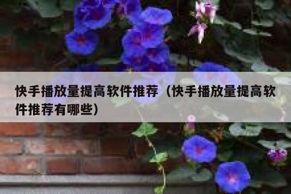 快手播放量提高软件推荐（快手播放量提高软件推荐有哪些） 第1张