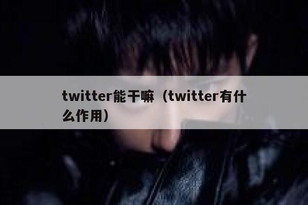 twitter能干嘛（twitter有什么作用） 第1张