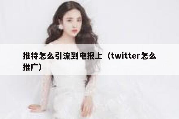 推特怎么引流到电报上（twitter怎么推广） 第1张