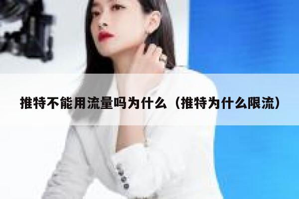 推特不能用流量吗为什么（推特为什么限流） 第1张