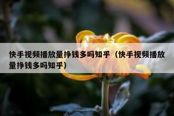 快手视频播放量挣钱多吗知乎（快手视频播放量挣钱多吗知乎） 第1张