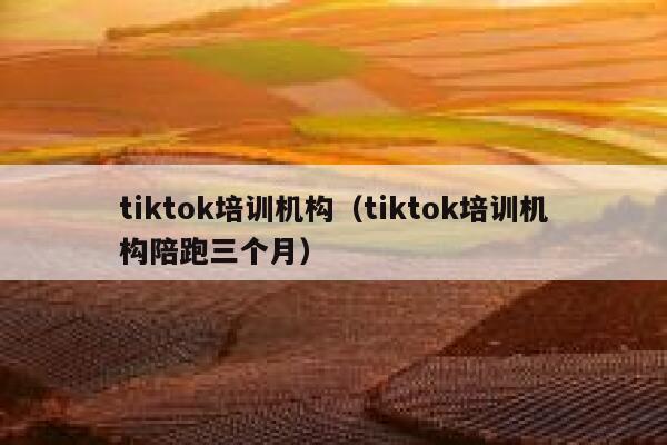 tiktok培训机构（tiktok培训机构陪跑三个月） 第1张