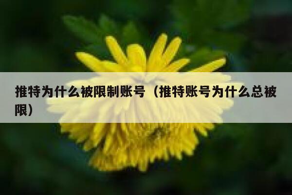 推特为什么被限制账号（推特账号为什么总被限） 第1张