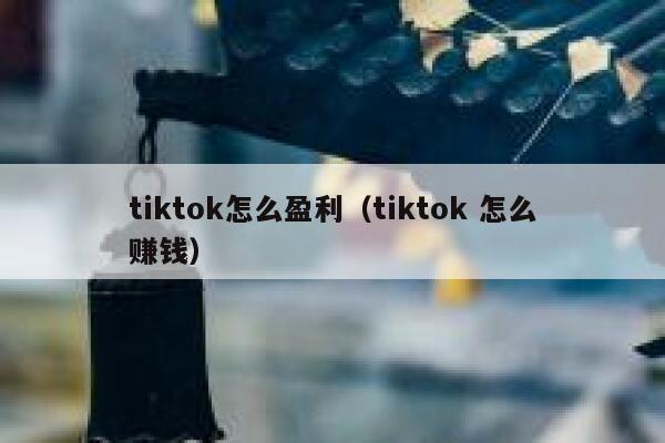 tiktok怎么盈利（tiktok 怎么赚钱） 第1张