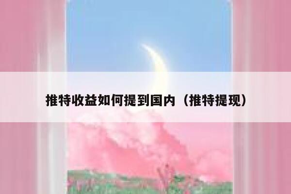 推特收益如何提到国内（推特提现） 第1张