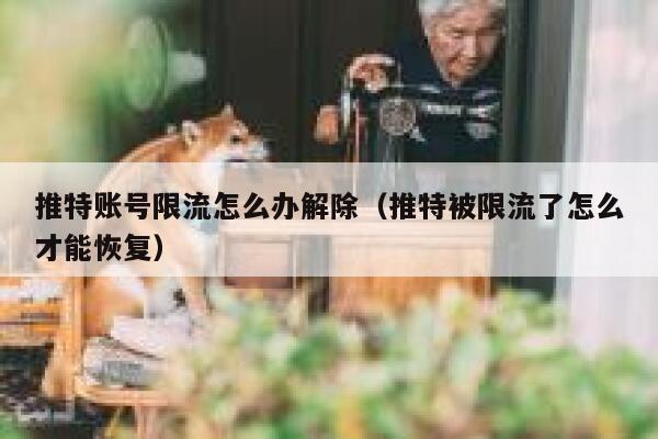 推特账号限流怎么办解除（推特被限流了怎么才能恢复） 第1张