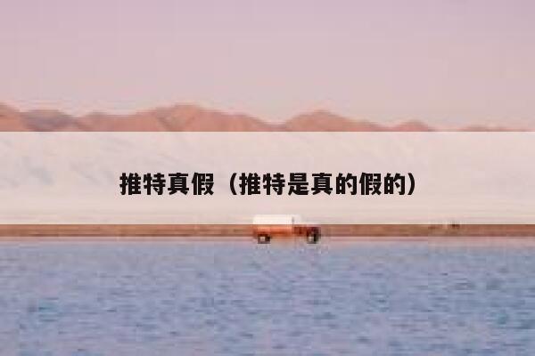 推特真假（推特是真的假的） 第1张