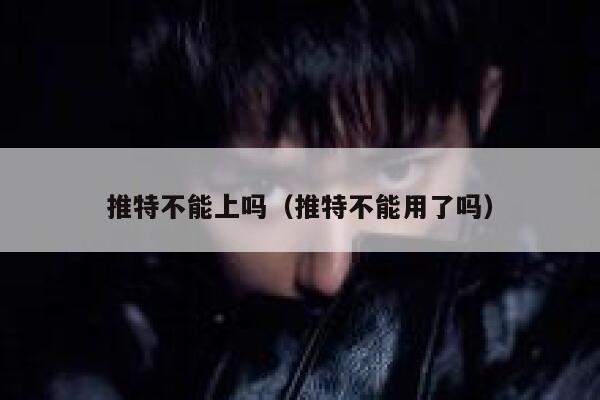 推特不能上吗（推特不能用了吗） 第1张