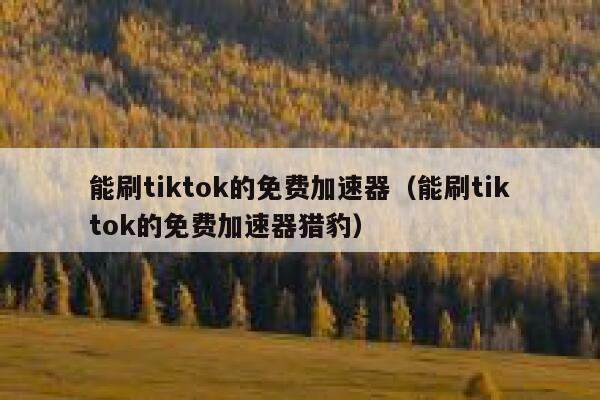 能刷tiktok的免费加速器（能刷tiktok的免费加速器猎豹） 第1张