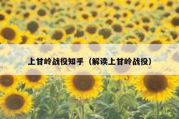 上甘岭战役知乎（解读上甘岭战役） 第1张
