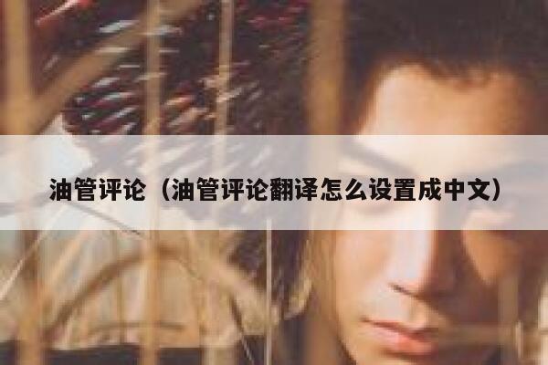 油管评论（油管评论翻译怎么设置成中文） 第1张