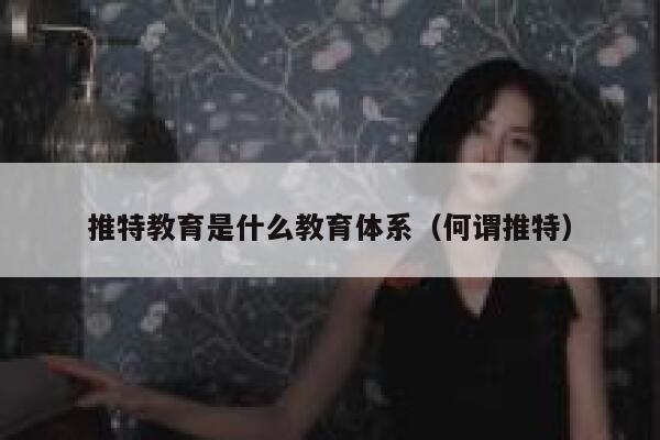 推特教育是什么教育体系（何谓推特） 第1张