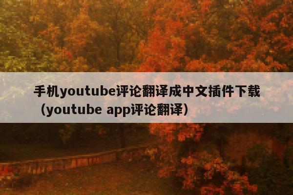 手机youtube评论翻译成中文插件下载（youtube app评论翻译） 第1张