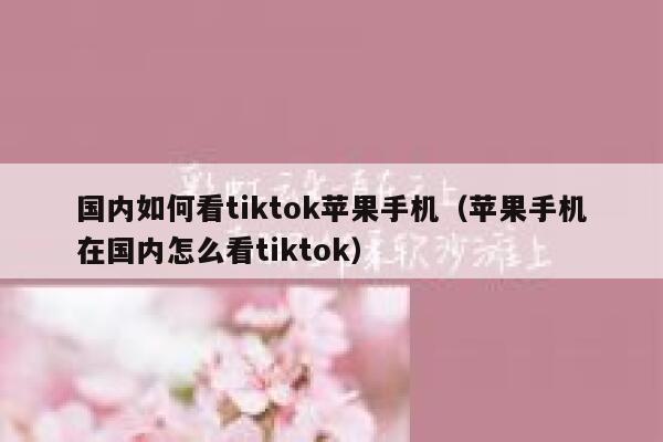 国内如何看tiktok苹果手机（苹果手机在国内怎么看tiktok） 第1张