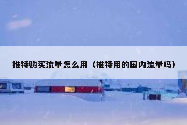 推特购买流量怎么用（推特用的国内流量吗） 第1张