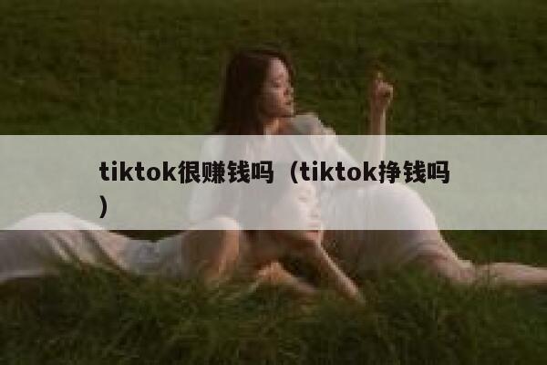 tiktok很赚钱吗（tiktok挣钱吗） 第1张
