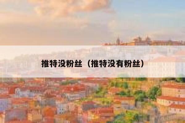 推特没粉丝（推特没有粉丝） 第1张