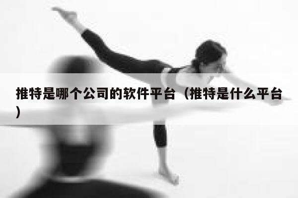 推特是哪个公司的软件平台（推特是什么平台） 第1张