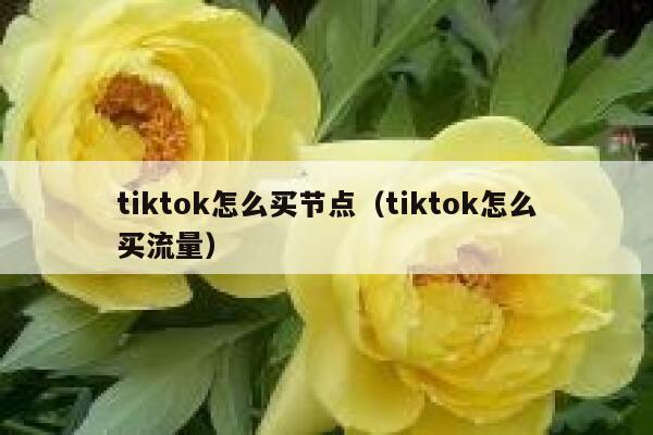 tiktok怎么买节点（tiktok怎么买流量） 第1张