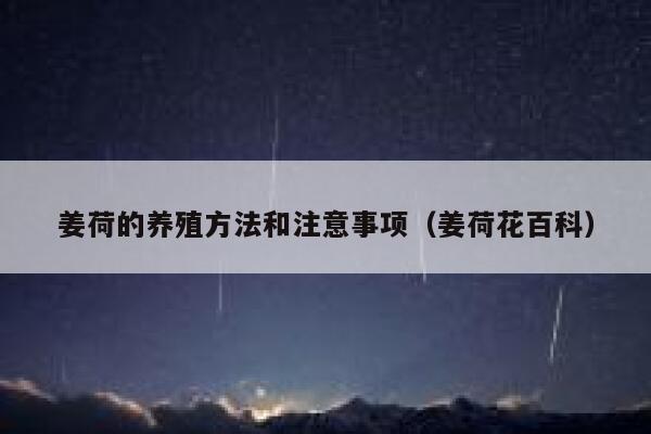 姜荷的养殖方法和注意事项(姜荷花百科) 第1张 姜荷的养殖方法和注意事项(姜荷花百科) 第1张