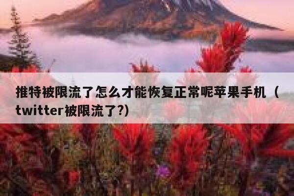 推特被限流了怎么才能恢复正常呢苹果手机（twitter被限流了?） 第1张