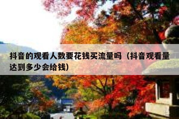 抖音的观看人数要花钱买流量吗（抖音观看量达到多少会给钱） 第1张