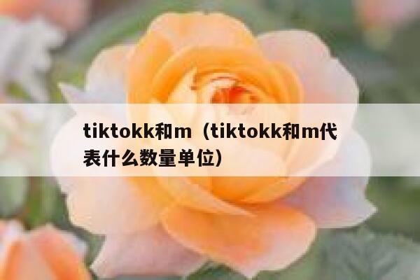 tiktokk和m（tiktokk和m代表什么数量单位） 第1张
