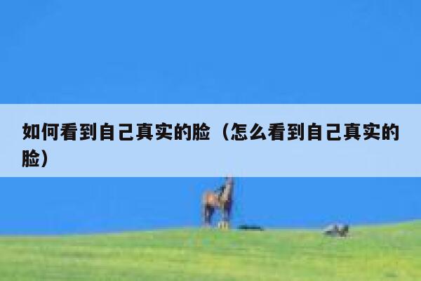如何看到自己真实的脸（怎么看到自己真实的脸） 第1张