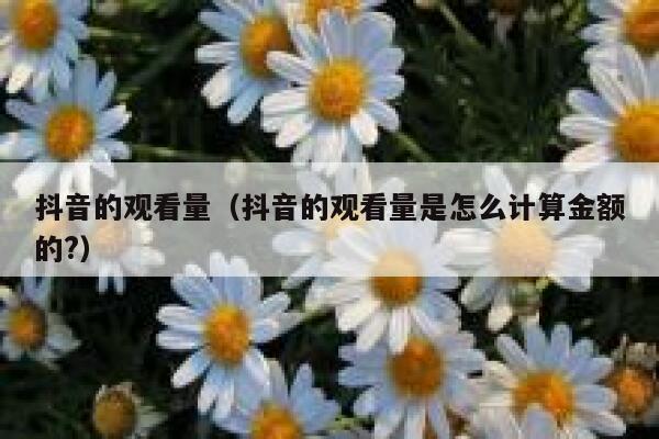 抖音的观看量（抖音的观看量是怎么计算金额的?） 第1张