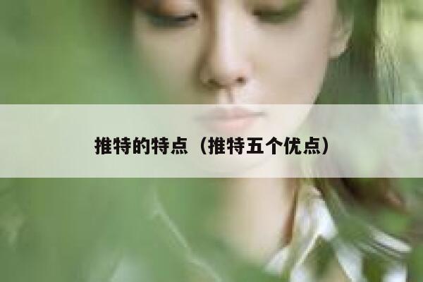 推特的特点（推特五个优点） 第1张
