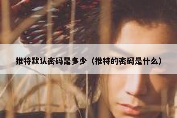 推特默认密码是多少（推特的密码是什么） 第1张
