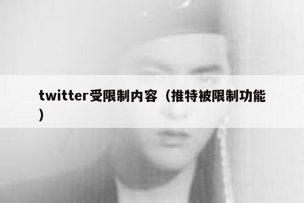 twitter受限制内容（推特被限制功能） 第1张