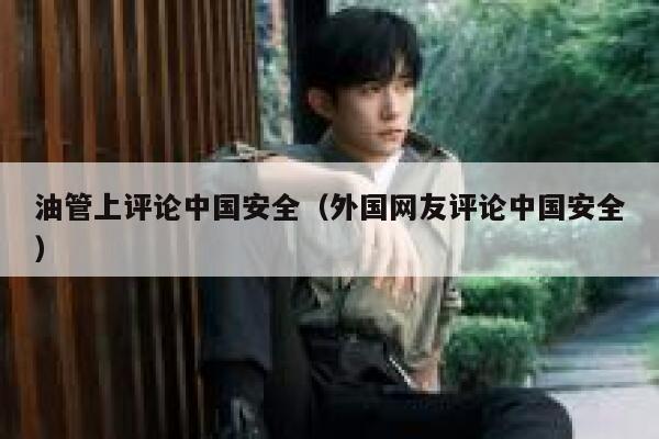 油管上评论中国安全（外国网友评论中国安全） 第1张