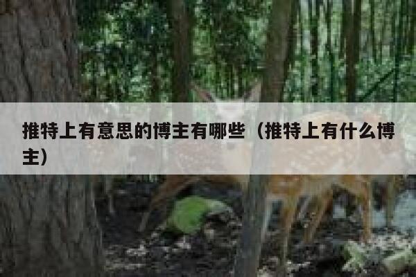 推特上有意思的博主有哪些（推特上有什么博主） 第1张