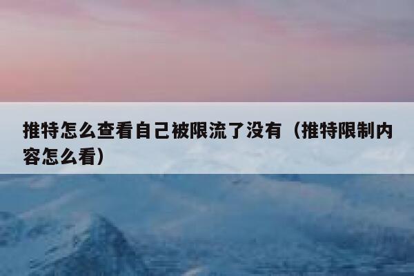 推特怎么查看自己被限流了没有（推特限制内容怎么看） 第1张