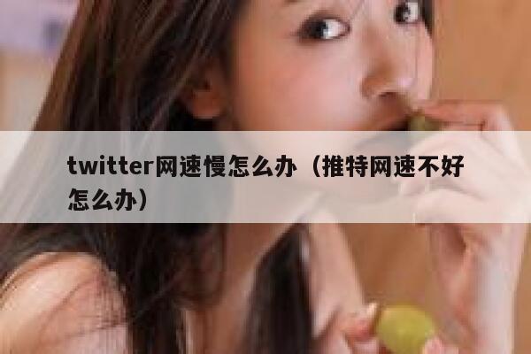 twitter网速慢怎么办（推特网速不好怎么办） 第1张